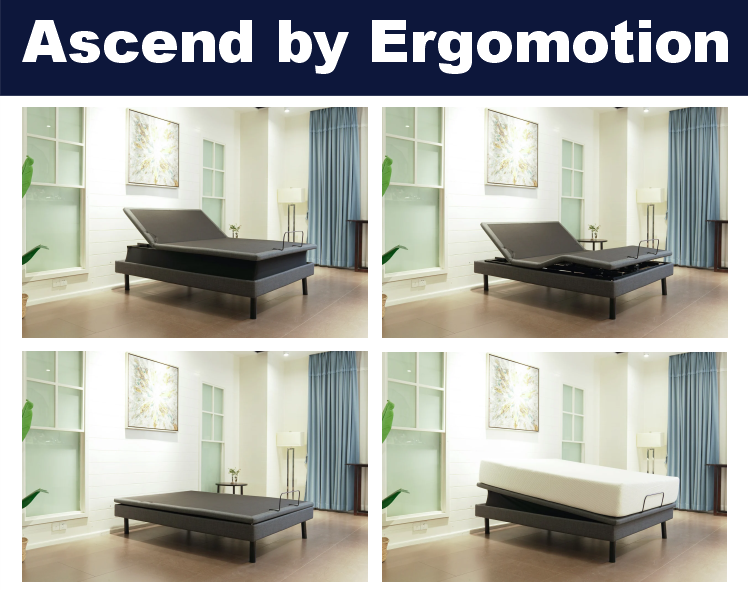 The Ascend Electric Adjustable Bed with 3 motor hi-low and Tilt